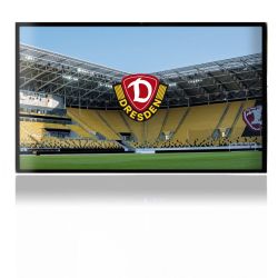 Folien für Spielekonsolen matt