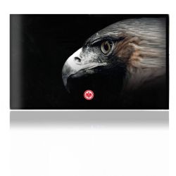 Folien für Spielekonsolen matt