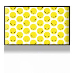 Folien für Spielekonsolen matt