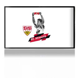 Folien für Spielekonsolen matt