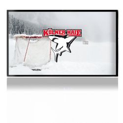 Folien für Spielekonsolen matt