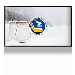 Folien für Spielekonsolen matt