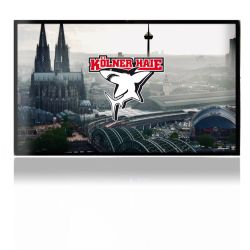 Folien für Spielekonsolen matt