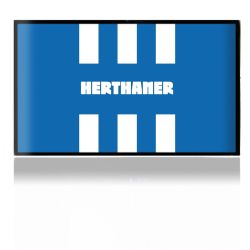 Folien für Spielekonsolen matt