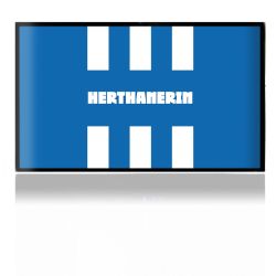 Folien für Spielekonsolen matt