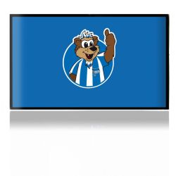 Folien für Spielekonsolen matt