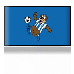 Folien für Spielekonsolen matt