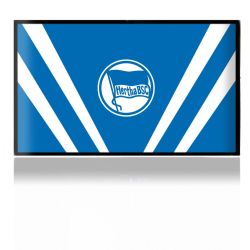 Folien für Spielekonsolen matt