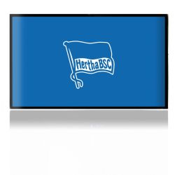 Folien für Spielekonsolen matt