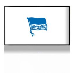 Folien für Spielekonsolen matt