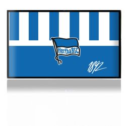 Folien für Spielekonsolen matt