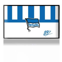 Folien für Spielekonsolen matt