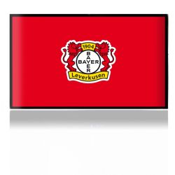 Folien für Spielekonsolen matt