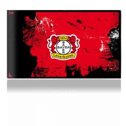 Folien für Spielekonsolen matt