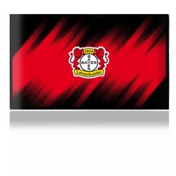 Folien für Spielekonsolen matt