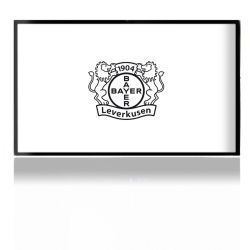 Folien für Spielekonsolen matt