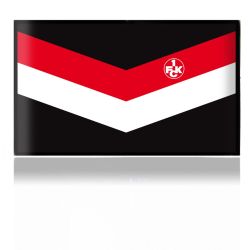 Folien für Spielekonsolen matt