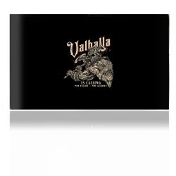 Folien für Spielekonsolen matt