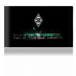 Folien für Spielekonsolen matt