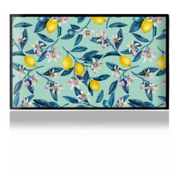 Folien für Spielekonsolen matt