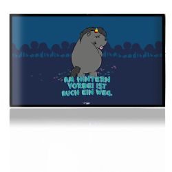 Folien für Spielekonsolen matt