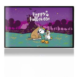 Folien für Spielekonsolen matt