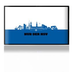 Folien für Spielekonsolen matt