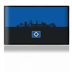 Folien für Spielekonsolen matt