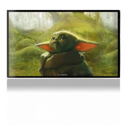 Folien für Spielekonsolen matt