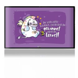 Folien für Spielekonsolen matt