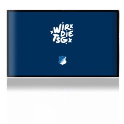 Folien für Spielekonsolen matt