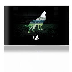 Folien für Spielekonsolen matt