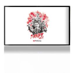 Folien für Spielekonsolen matt