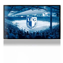 Folien für Spielekonsolen matt