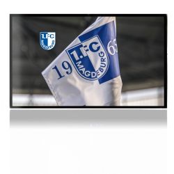 Folien für Spielekonsolen matt