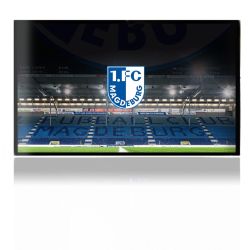 Folien für Spielekonsolen matt