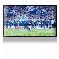 Folien für Spielekonsolen matt