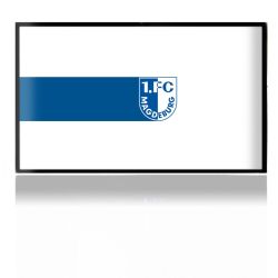 Folien für Spielekonsolen matt