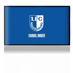 Folien für Spielekonsolen matt