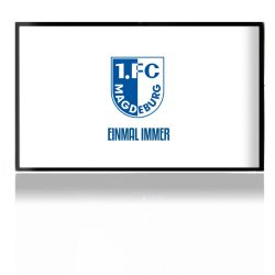 Folien für Spielekonsolen matt