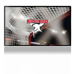 Folien für Spielekonsolen matt