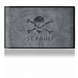 Folien für Spielekonsolen matt