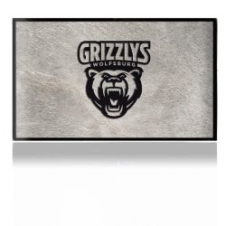 Folien für Spielekonsolen matt