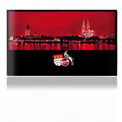 Folien für Spielekonsolen matt