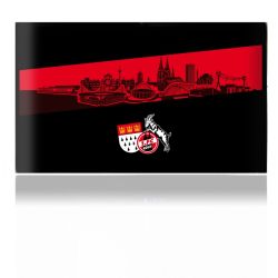 Folien für Spielekonsolen matt