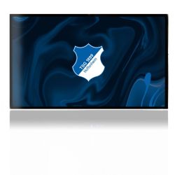 Folien für Spielekonsolen matt