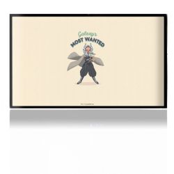 Folien für Spielekonsolen matt