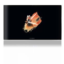 Folien für Spielekonsolen matt