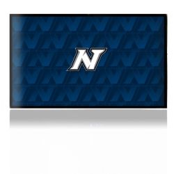 Folien für Spielekonsolen matt