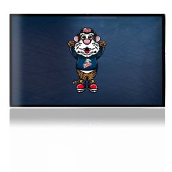 Folien für Spielekonsolen matt